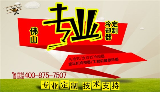 定制風冷卻器