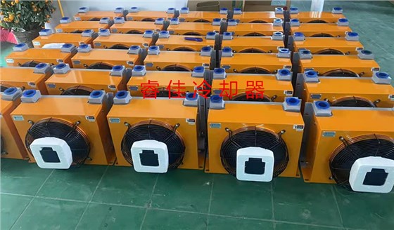 風(fēng)冷式油冷卻器RJ-305