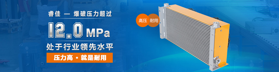 睿佳-爆表壓力超過 風冷卻器